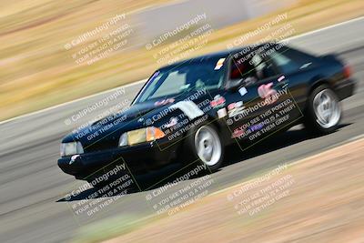 media/May-10-2025-Cobra Club (Sat) [[7b9c5022b1]]/White Group/Session 2 (Turn 3)/